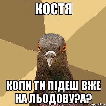 костя коли ти підеш вже на льодову?а?, Мем голубь