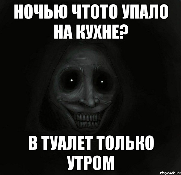 ночью чтото упало на кухне? в туалет только утром, Мем Ночной гость