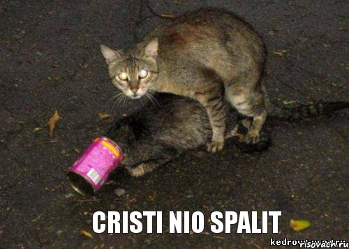 Cristi nio spalit