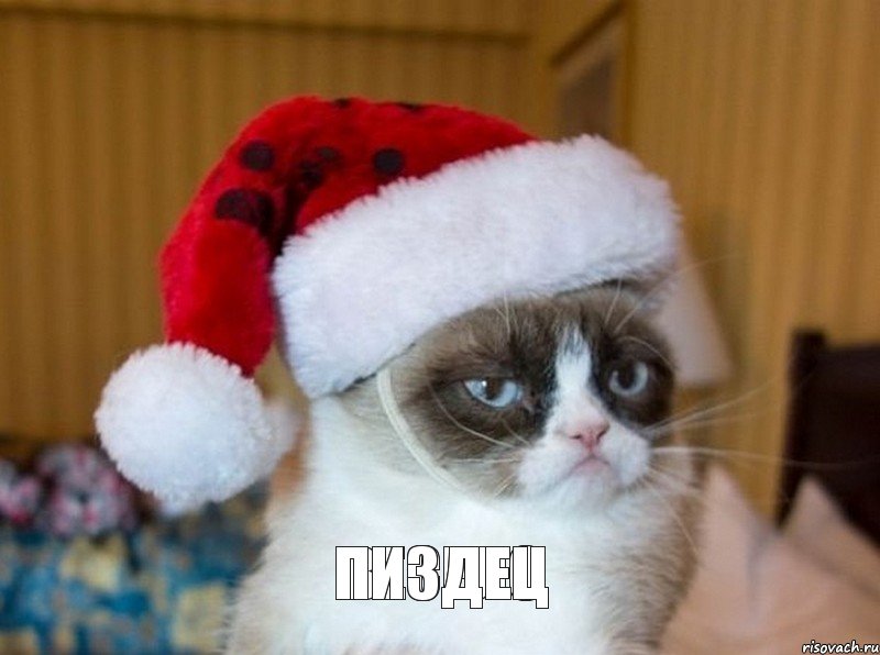 ВЕСЕЛО ПИЗДЕЦ, Мем   Новогодний угрюмый кот