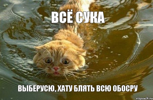 всё сука выберусю, хату блять всю обосру, Комикс Котэ плывет