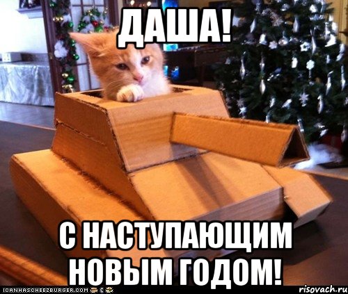 даша! с наступающим новым годом!