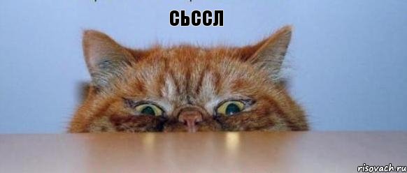 сьссл