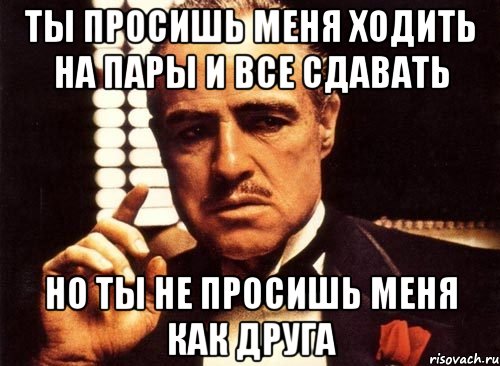 ты просишь меня ходить на пары и все сдавать но ты не просишь меня как друга