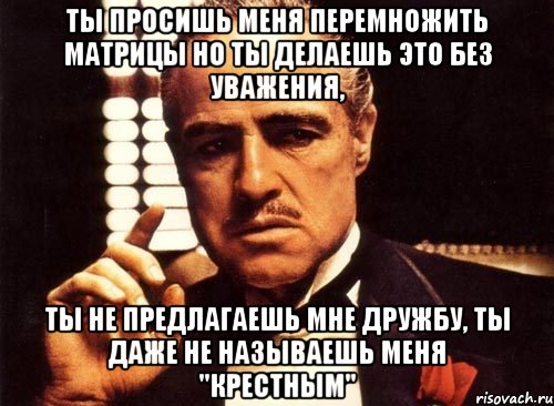 ты просишь меня перемножить матрицы но ты делаешь это без уважения, ты не предлагаешь мне дружбу, ты даже не называешь меня "крестным", Мем крестный отец