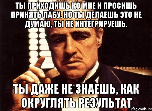 ты приходишь ко мне и просишь принять лабу. но ты делаешь это не думаю, ты не интегрируешь. ты даже не знаешь, как округлять результат, Мем крестный отец