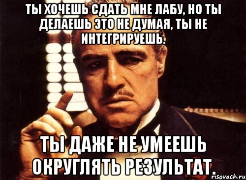 ты хочешь сдать мне лабу, но ты делаешь это не думая, ты не интегрируешь. ты даже не умеешь округлять результат., Мем крестный отец