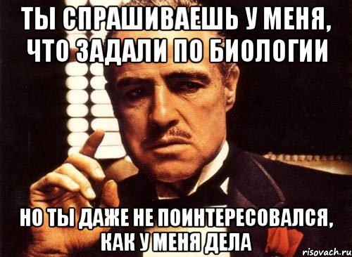 ты спрашиваешь у меня, что задали по биологии но ты даже не поинтересовался, как у меня дела, Мем крестный отец