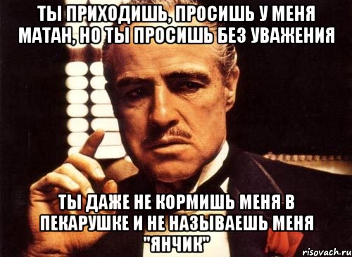 ты приходишь, просишь у меня матан, но ты просишь без уважения ты даже не кормишь меня в пекарушке и не называешь меня "янчик", Мем крестный отец