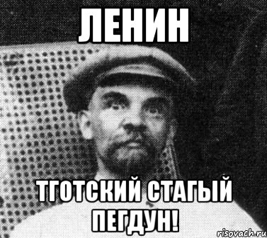 ленин тготский стагый пегдун!