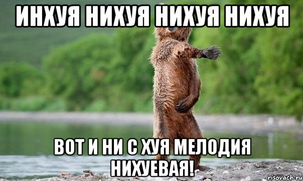 инхуя нихуя нихуя нихуя вот и ни с хуя мелодия нихуевая!, Мем Медвед танцует