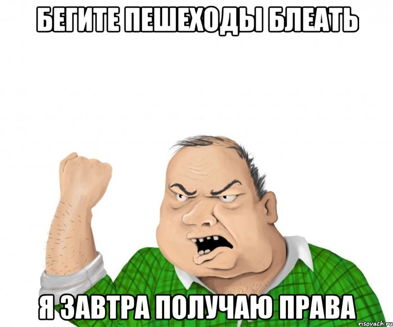 бегите пешеходы блеать я завтра получаю права