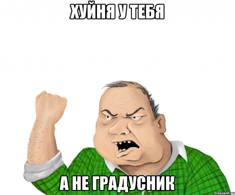 хуйня у тебя а не градусник, Мем мужик