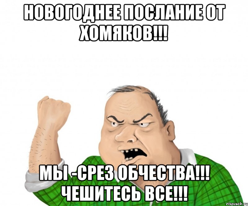 новогоднее послание от хомяков!!! мы -срез обчества!!! чешитесь все!!!, Мем мужик