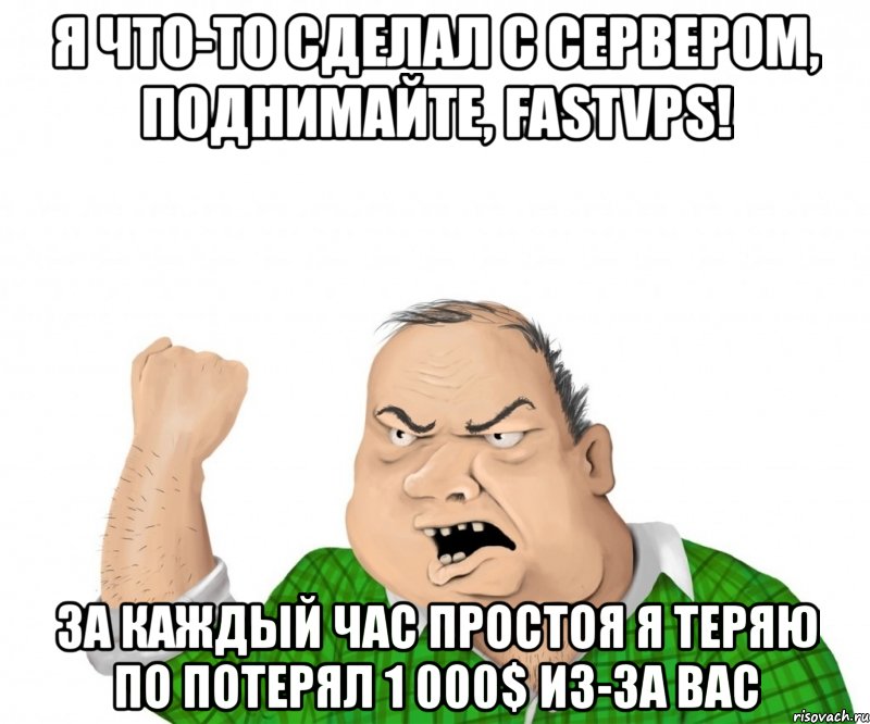 я что-то сделал с сервером, поднимайте, fastvps! за каждый час простоя я теряю по потерял 1 000$ из-за вас