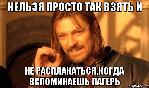 нельзя просто так взять и не расплакаться,когда вспоминаешь лагерь, Мем Нельзя просто так взять и (Боромир мем)