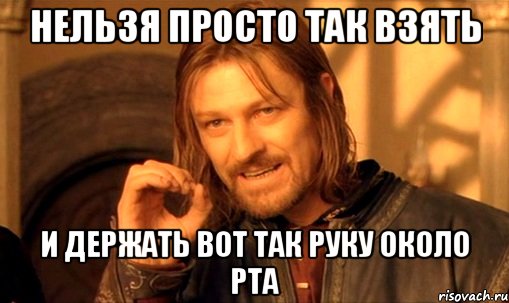 нельзя просто так взять и держать вот так руку около рта, Мем Нельзя просто так взять и (Боромир мем)