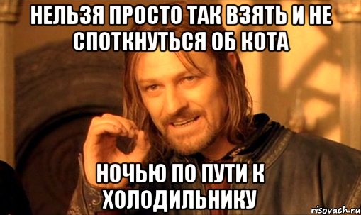 нельзя просто так взять и не споткнуться об кота ночью по пути к холодильнику, Мем Нельзя просто так взять и (Боромир мем)