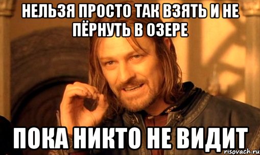 нельзя просто так взять и не пёрнуть в озере пока никто не видит, Мем Нельзя просто так взять и (Боромир мем)