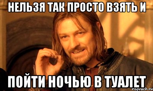 нельзя так просто взять и пойти ночью в туалет, Мем Нельзя просто так взять и (Боромир мем)