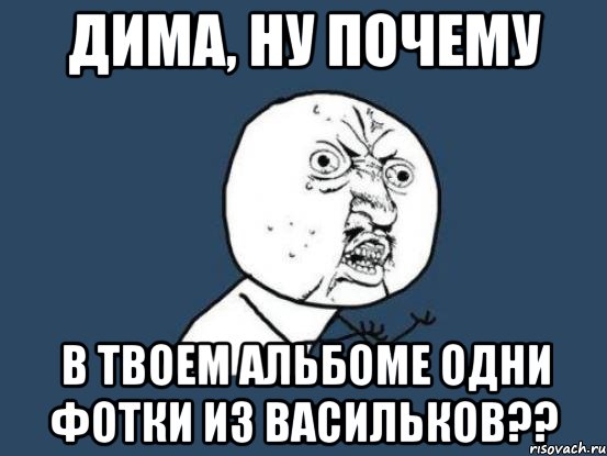 дима, ну почему в твоем альбоме одни фотки из васильков??, Мем Ну почему