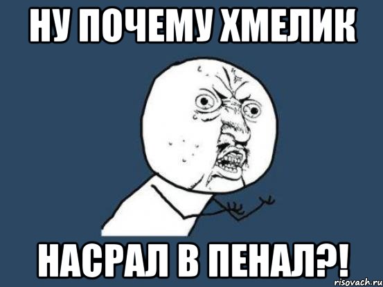 ну почему хмелик насрал в пенал?!, Мем Ну почему