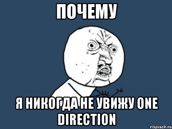 почему я никогда не увижу one direction, Мем Ну почему