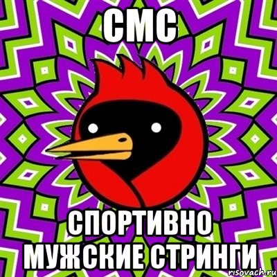 смс спортивно мужские стринги, Мем Омская птица