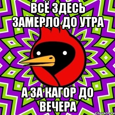 всё здесь замерло до утра а за кагор до вечера, Мем Омская птица