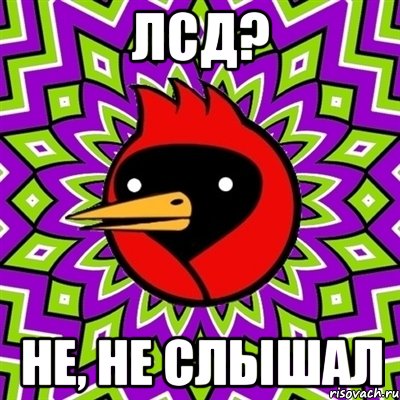 лсд? не, не слышал, Мем Омская птица