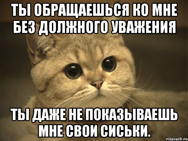 ты обращаешься ко мне без должного уважения ты даже не показываешь мне свои сиськи.