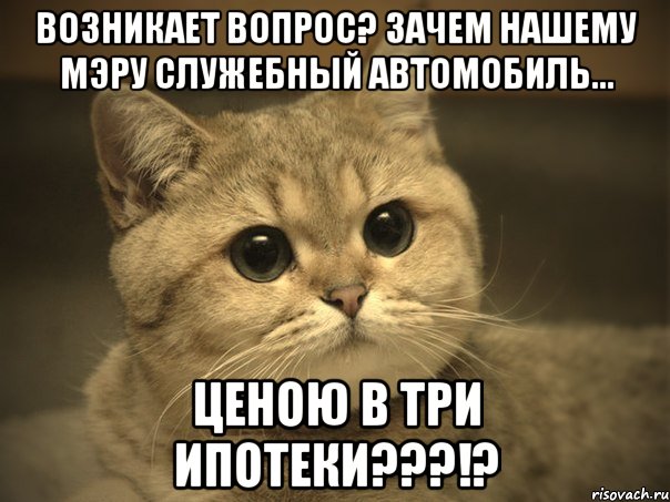 возникает вопрос? зачем нашему мэру служебный автомобиль... ценою в три ипотеки???!?, Мем Пидрила ебаная котик