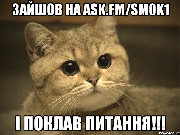 зайшов на ask.fm/sm0k1 і поклав питання!!!, Мем Пидрила ебаная котик