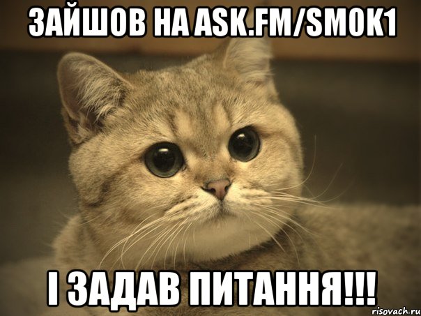 зайшов на ask.fm/sm0k1 і задав питання!!!, Мем Пидрила ебаная котик