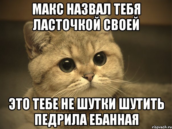 макс назвал тебя ласточкой своей это тебе не шутки шутить педрила ебанная