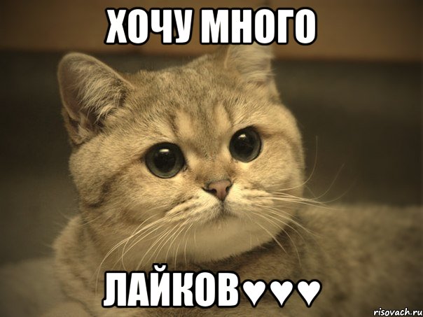 хочу много лайков♥♥♥, Мем Пидрила ебаная котик