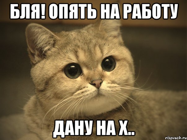 бля! опять на работу дану на х..