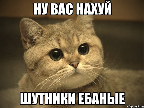 ну вас нахуй шутники ебаные, Мем Пидрила ебаная котик