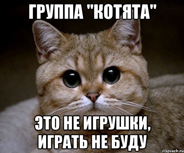 группа "котята" это не игрушки, играть не буду