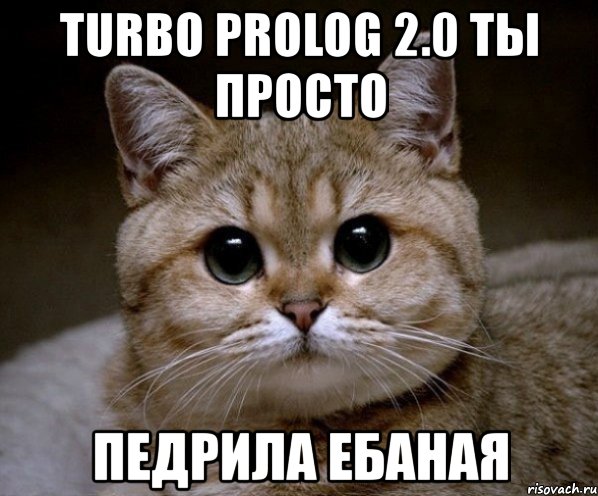 turbo prolog 2.0 ты просто педрила ебаная, Мем Пидрила Ебаная