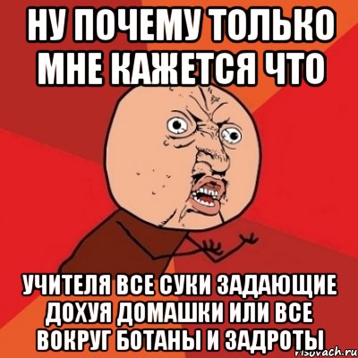 ну почему только мне кажется что учителя все суки задающие дохуя домашки или все вокруг ботаны и задроты, Мем Почему