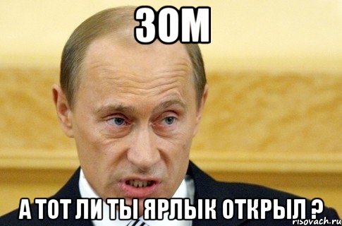 зом а тот ли ты ярлык открыл ?, Мем путин