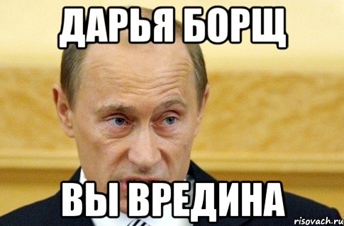 дарья борщ вы вредина, Мем путин