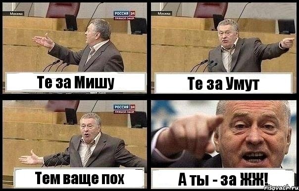 Те за Мишу Те за Умут Тем ваще пох А ты - за ЖЖ!, Комикс с Жириновским