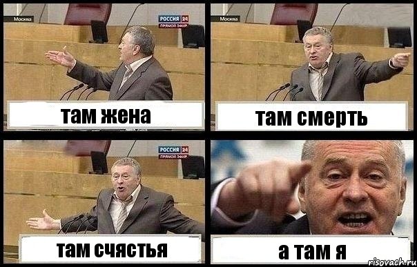 там жена там смерть там счястья а там я, Комикс с Жириновским