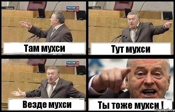 Там мухси Тут мухси Везде мухси Ты тоже мухси !, Комикс с Жириновским