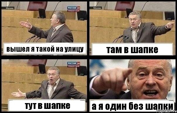 вышел я такой на улицу там в шапке тут в шапке а я один без шапки, Комикс с Жириновским