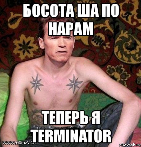 босота ша по нарам теперь я terminator, Мем Шварц на нарах