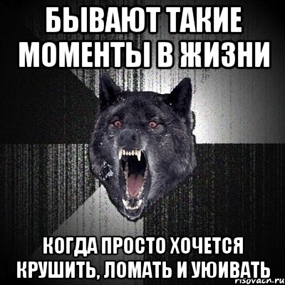 бывают такие моменты в жизни когда просто хочется крушить, ломать и уюивать, Мем Сумасшедший волк