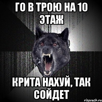 го в трою на 10 этаж крита нахуй, так сойдет, Мем Сумасшедший волк